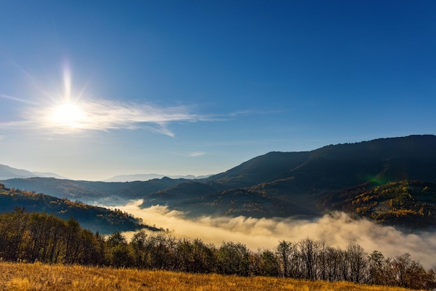 Hochland mit riesigen Waldbergen, umgeben von Nebel