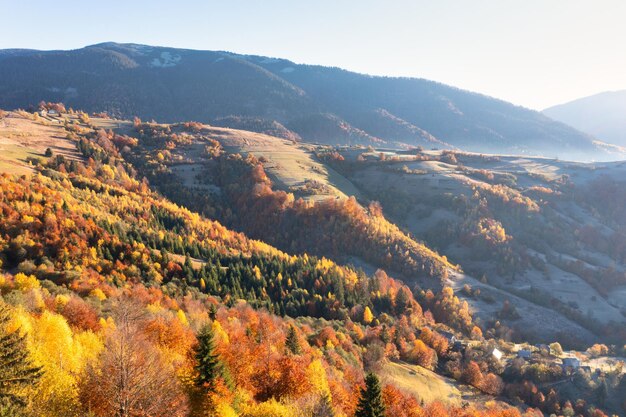 Hochland und Hügel mit Terrakottawäldern unter blauem Himmel