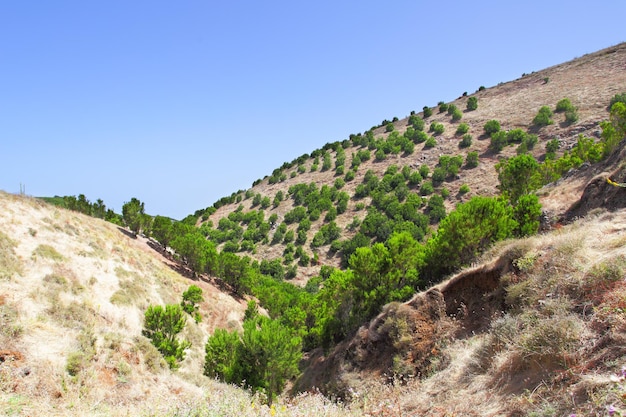 Hochland von El Hierro, Kanarische Inseln