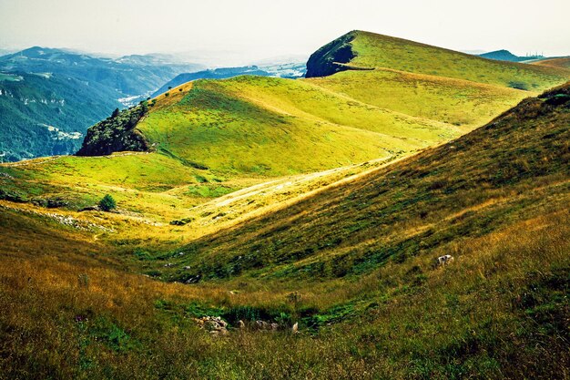 Foto hochland von lessinia und grüner bergkamm veneto malga san giorgio italien