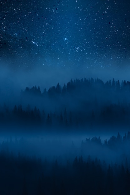 Foto hochlandwald im nebel, nachtlandschaft mit sternen im himmel über nebligem wald