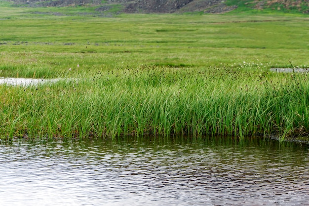 Hochmoor mit offenem See in der Bergtundra