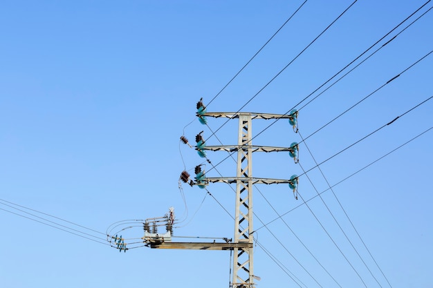 Hochspannungsdrähte und -pole. Nahaufnahme auf den Elektrokabeln über Hochvolt. Säule mit elektrischen Drähten gegen den blauen Himmel bei sonnigem Sommer- oder Frühlingswetter. Unordentliche Verkabelung. Elektroindustrie