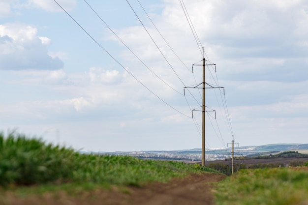 Hochspannungsleitungen im Feld