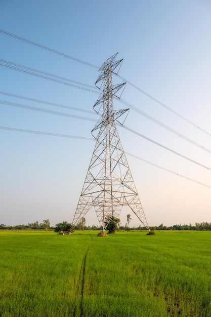 Hochspannungsmast Großer Sendeturm mit Kabel auf Reisfeld mit blauem Himmel auf dem Land