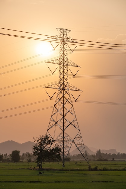 Hochspannungsmast, Sendeturm mit der Sonne auf dem Reisfeld in der Landschaft bei Sonnenuntergang