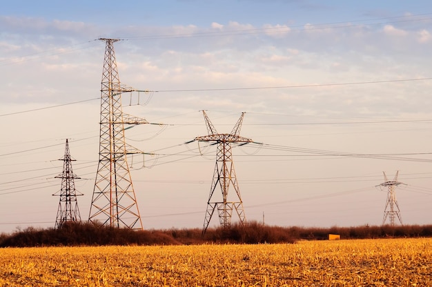 Hochspannungsmasten, die die Stadt mit Strom versorgen Abendfoto bei Sonnenuntergang in einem orangefarbenen Feld