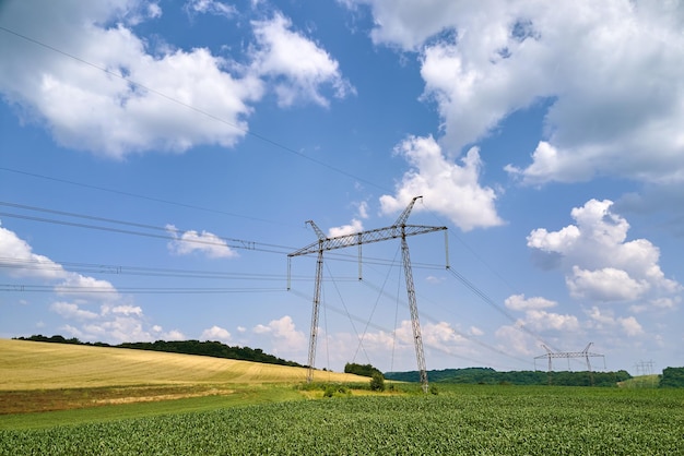 Hochspannungsturm mit Stromleitungen zwischen grünen landwirtschaftlichen Feldern Übertragung des Stromkonzepts