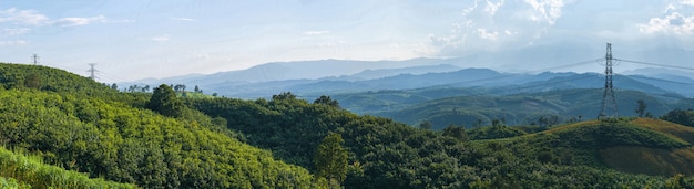 Hochspannungsturm und Berg im Wald