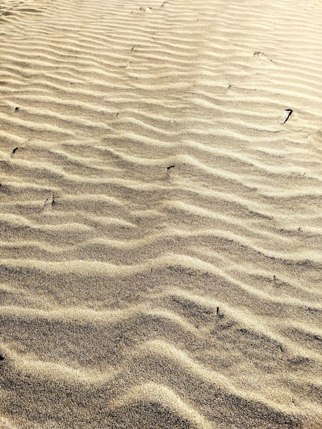 Hochwinkelansicht auf den Sandstrand