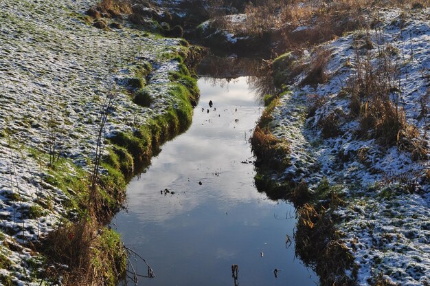 Foto hochwinkelansicht auf den teich im winter