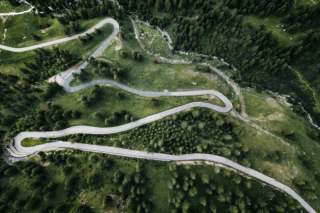 Foto hochwinkelansicht auf eine kurvenreiche straße inmitten von bäumen im wald