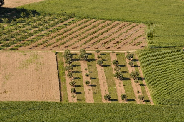 Foto hochwinkelansicht auf landwirtschaftliche flächen