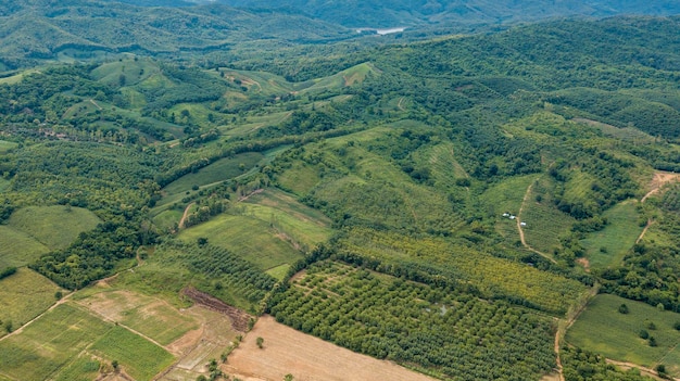 Foto hochwinkelansicht auf landwirtschaftliche flächen