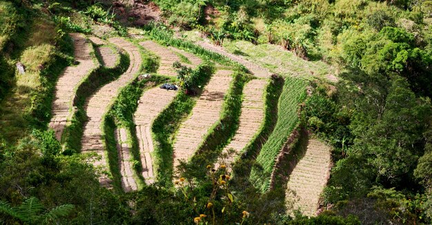 Foto hochwinkelansicht auf landwirtschaftliche flächen