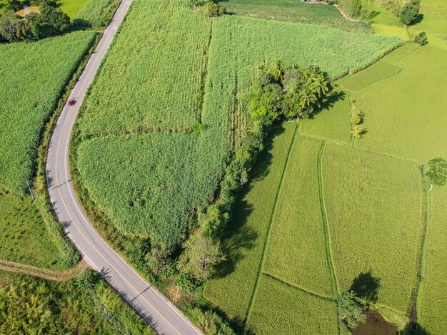 Foto hochwinkelansicht auf landwirtschaftliche flächen