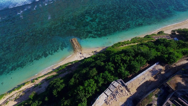 Hochwinkelansicht auf Meer und Bäume