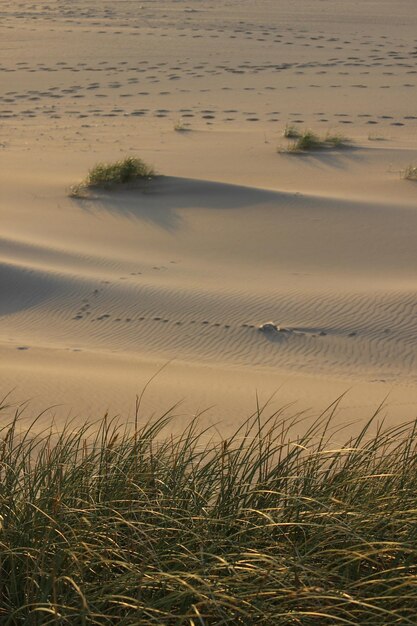 Foto hochwinkelansicht auf sanddünen in der wüste