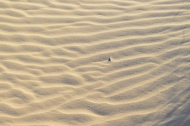 Foto hochwinkelansicht auf sanddünen