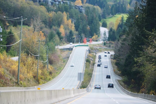 Foto hochwinkelansicht der autobahn inmitten von bäumen