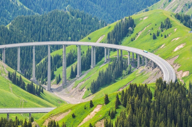 Foto hochwinkelansicht der brücke auf dem grünen berg