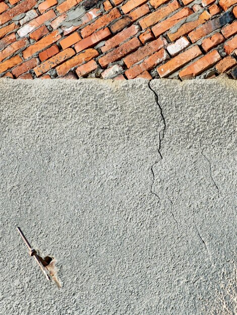 Foto hochwinkelansicht der eidechse auf der straße