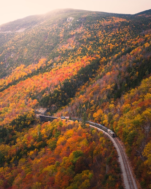 Hochwinkelansicht der Eisenbahn inmitten der Bäume im Herbst