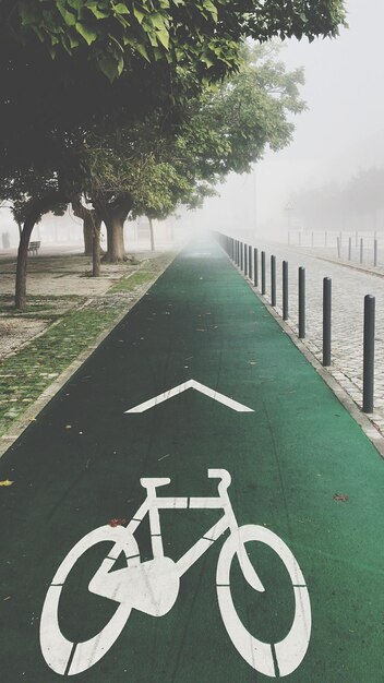 Hochwinkelansicht der Fahrradspur im Park bei nebligem Wetter