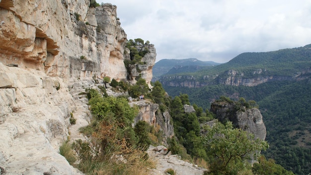 Hochwinkelansicht der grünen Landschaft