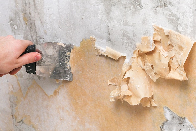 Foto hochwinkelansicht der hand einer frau an einer weißen wand