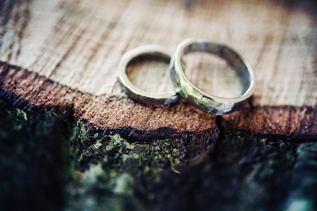 Hochwinkelansicht der Hochzeitsringe auf dem Baumstumpf