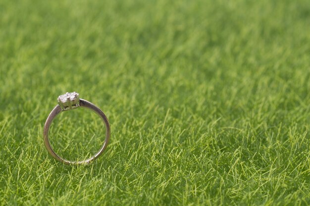 Hochwinkelansicht der Hochzeitsringe auf dem Gras