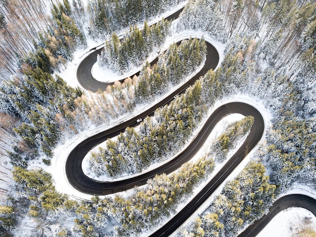 Foto hochwinkelansicht der kurvenreichen straße inmitten von bäumen