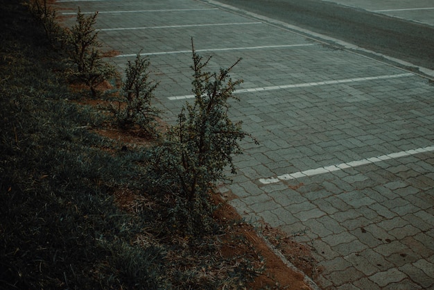 Foto hochwinkelansicht der nassen straße