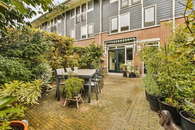 Hochwinkelansicht der Pflanzen nach Gebäuden