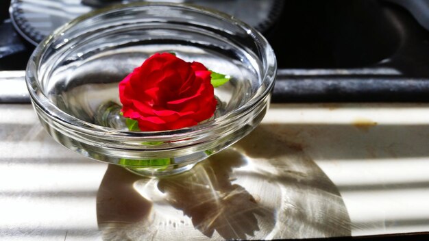 Foto hochwinkelansicht der rose in der schüssel auf dem tisch