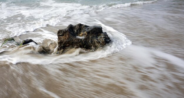 Hochwinkelansicht der Schildkröte im Meer