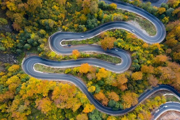 Foto hochwinkelansicht der straße inmitten der bäume im herbst