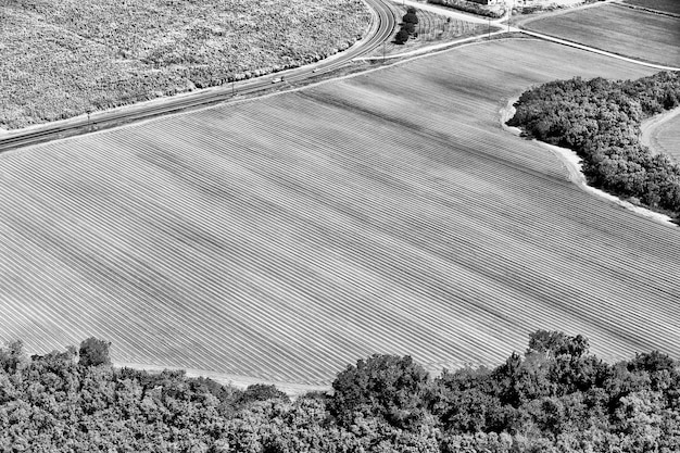 Foto hochwinkelansicht der straße inmitten des feldes