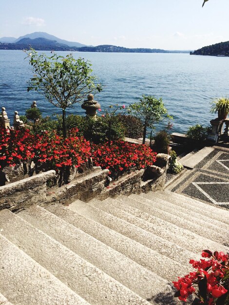 Foto hochwinkelansicht der stufen durch blumen, die zum see führen