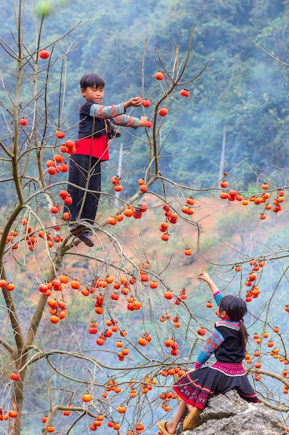 Foto hochwinkelansicht des baumes