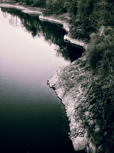 Foto hochwinkelansicht des flusses, der inmitten der bäume fließt