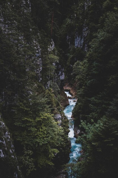 Hochwinkelansicht des Flusses, der inmitten der Berge im Wald fließt