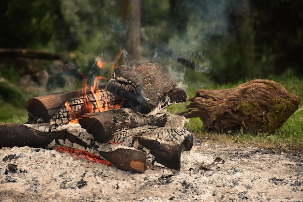 Hochwinkelansicht des Lagerfeuers auf dem Feld