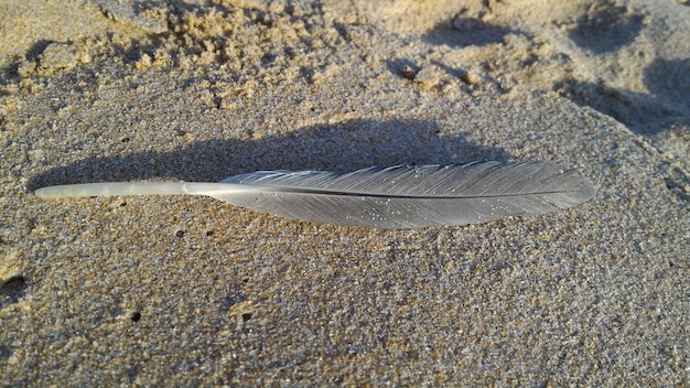 Foto hochwinkelansicht des nassen sandes am strand