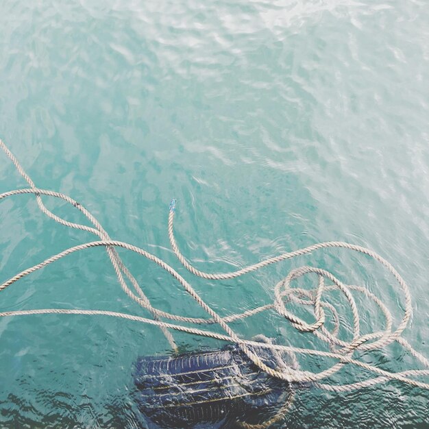 Hochwinkelansicht des Schwimmens im Meer