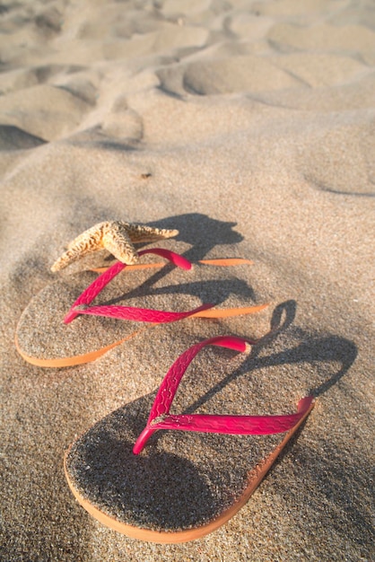 Foto hochwinkelansicht des seesterns auf dem sand