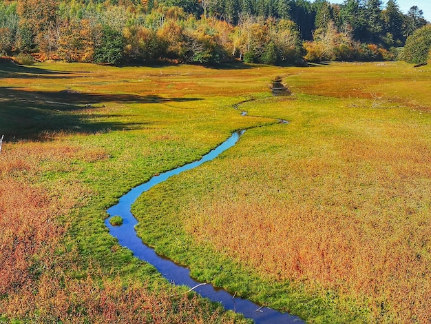 Foto hochwinkelansicht des weges auf dem feld im herbst