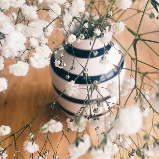 Foto hochwinkelansicht einer blume in einer vase auf einem holztisch