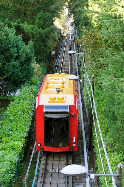 Foto hochwinkelansicht eines fahrzeugs auf einer eisenbahnstrecke inmitten von bäumen im wald